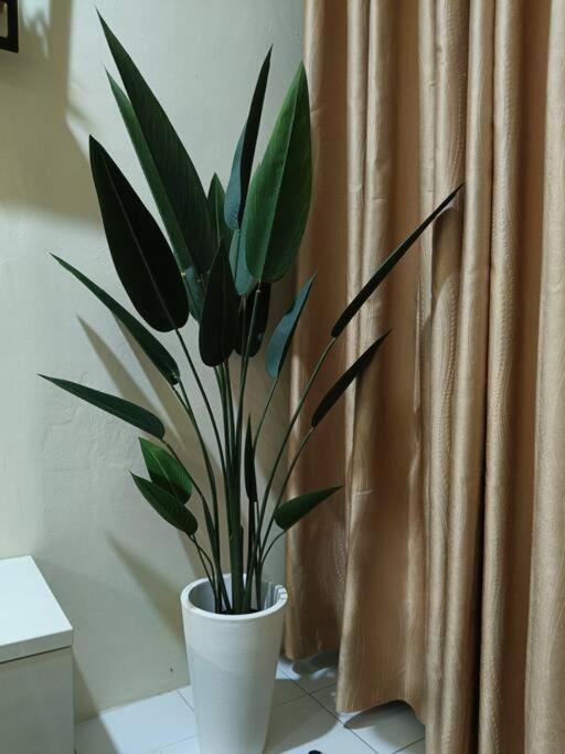 Healing Homestay Kangar Luaran gambar